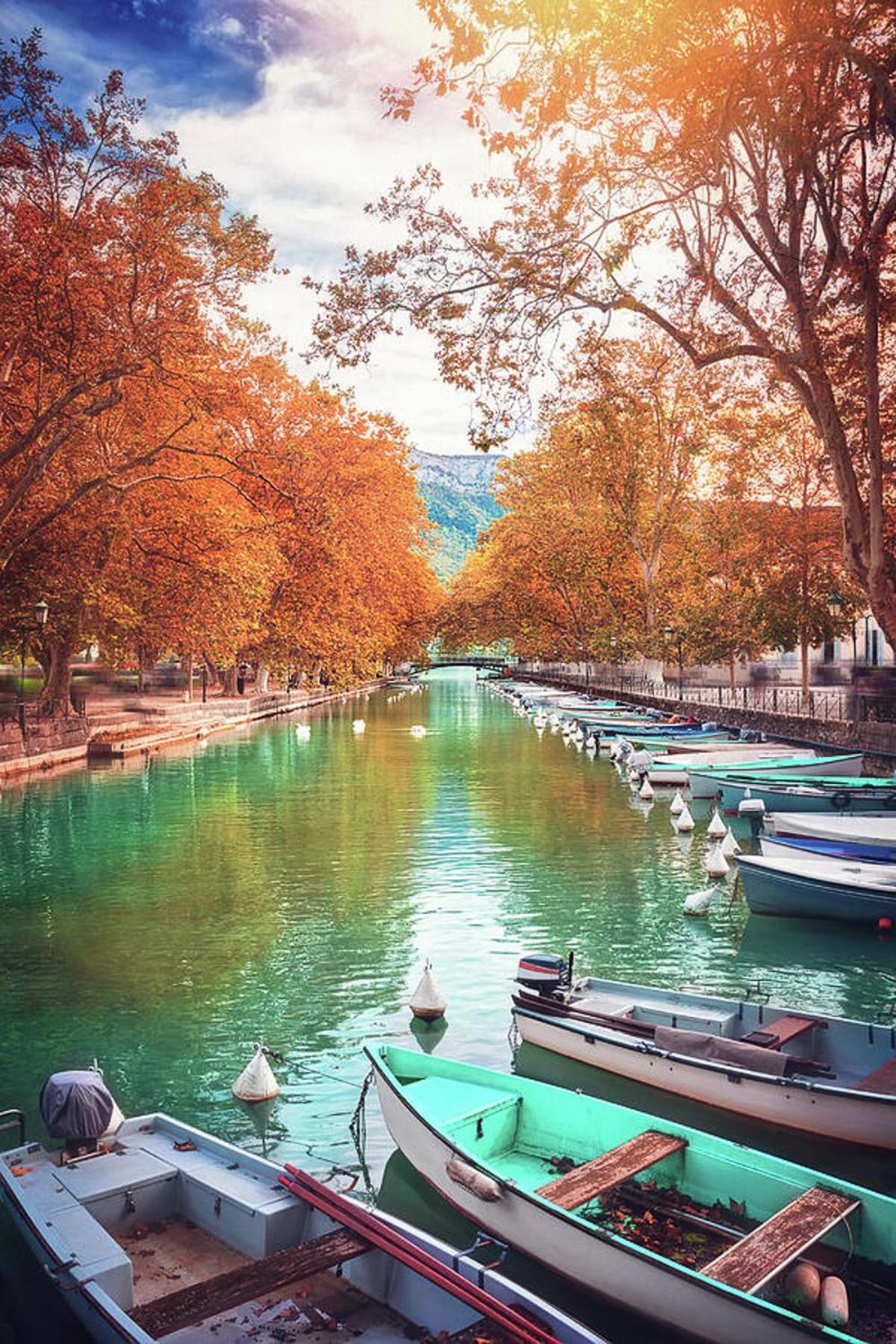Reflet Bleu Du Lac D'Annecy 3 Etoiles - Face Au Lac, Parking Gratuit, Paddle Board Doussard Extérieur photo